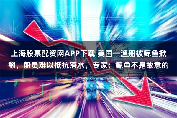 上海股票配资网APP下载 美国一渔船被鲸鱼掀翻，船员难以抵抗落水，专家：鲸鱼不是故意的